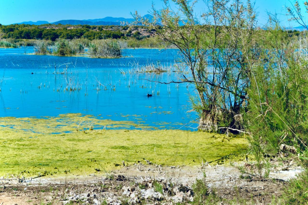 Refugio De Tranquilidad En Gran Alacant Kültér fotó